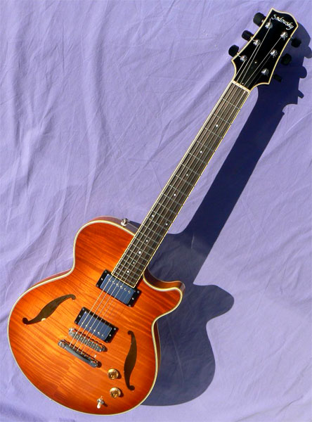 Sadowsky semi hollow on sale for sale